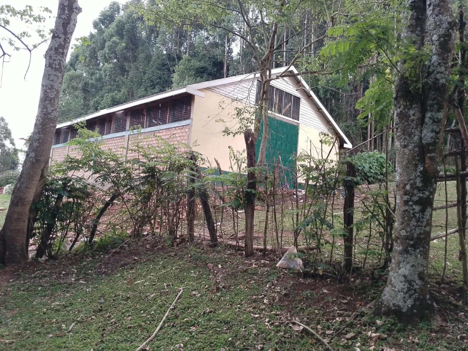 Ndanai Mini Warehouse — photograph 5